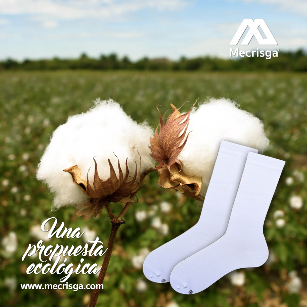 Nuestras fibras naturales: El algodón